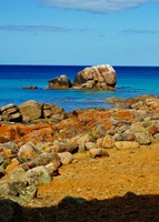 Eagle Bay  Western Australia 63